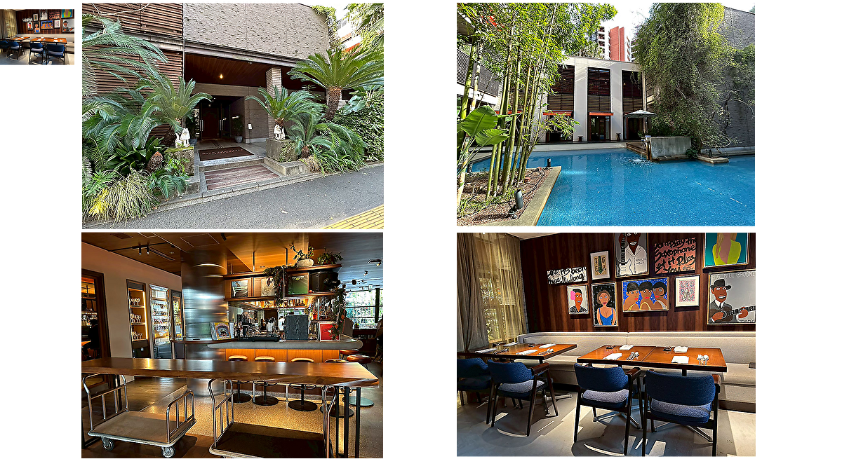 オールデイダイニングコットン